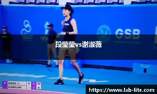 段莹莹vs谢淑薇