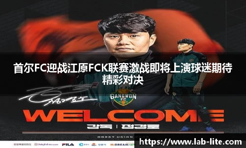 熊猫体育官网