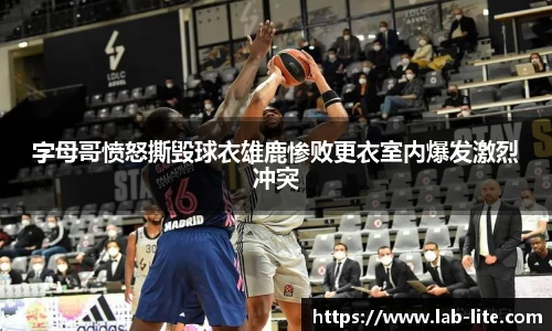 熊猫体育官网