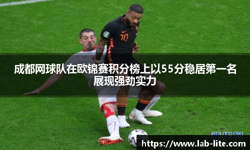 成都网球队在欧锦赛积分榜上以55分稳居第一名展现强劲实力